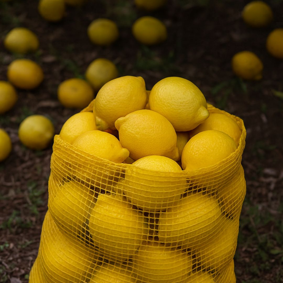 BOLSA AGRO RAFIA AMARILLA 35*68CM (REJILLA) *UNID