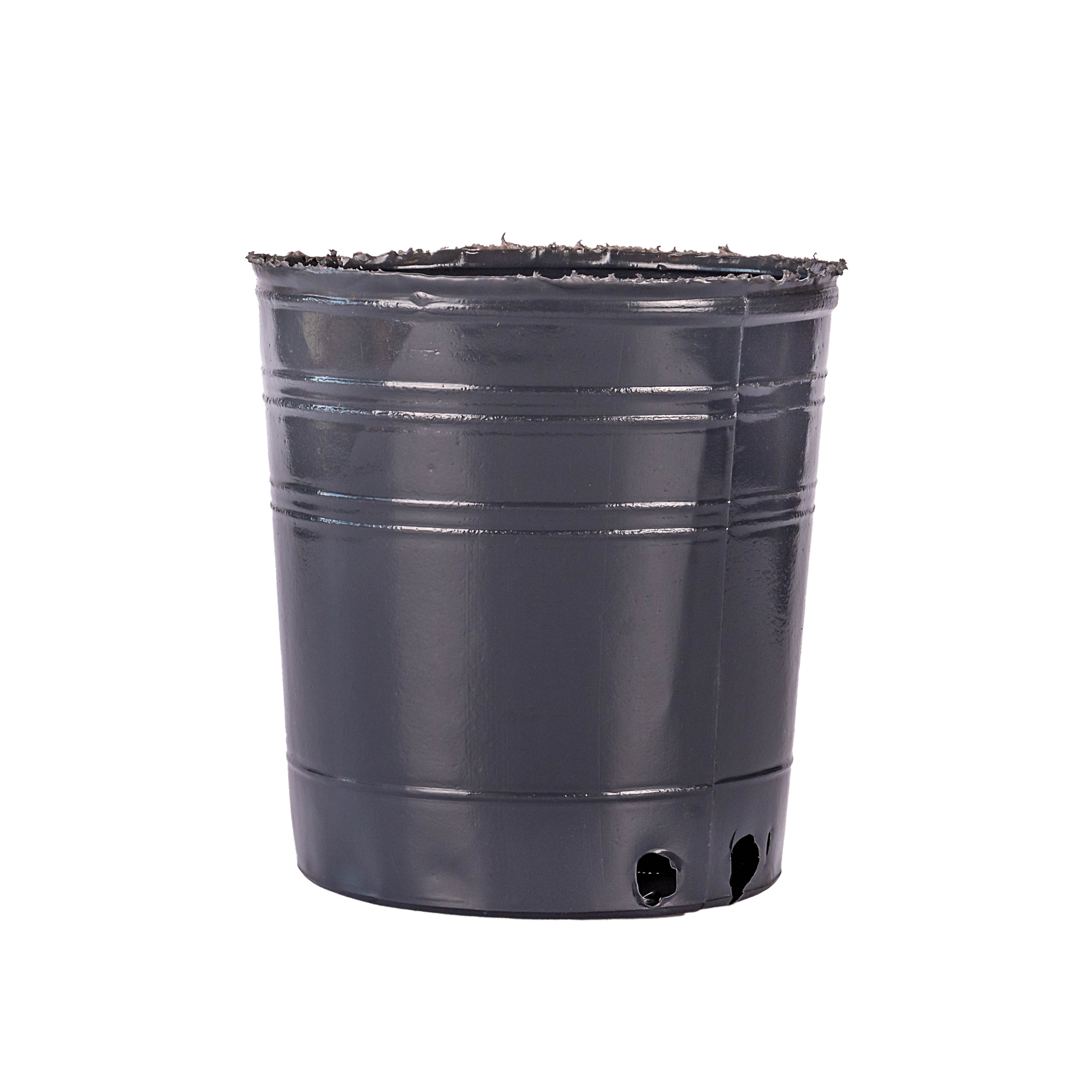 MACETA SOPLADA 3 LTS (16CM DIAM*16CM ALTO) *UNID