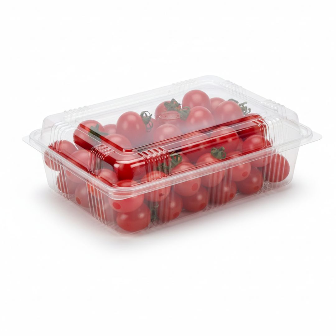 BANDEJA ESTUCHE PET BOULEVARES W6 BAJA (W6BPET) (17*26*6CM) *50UNID