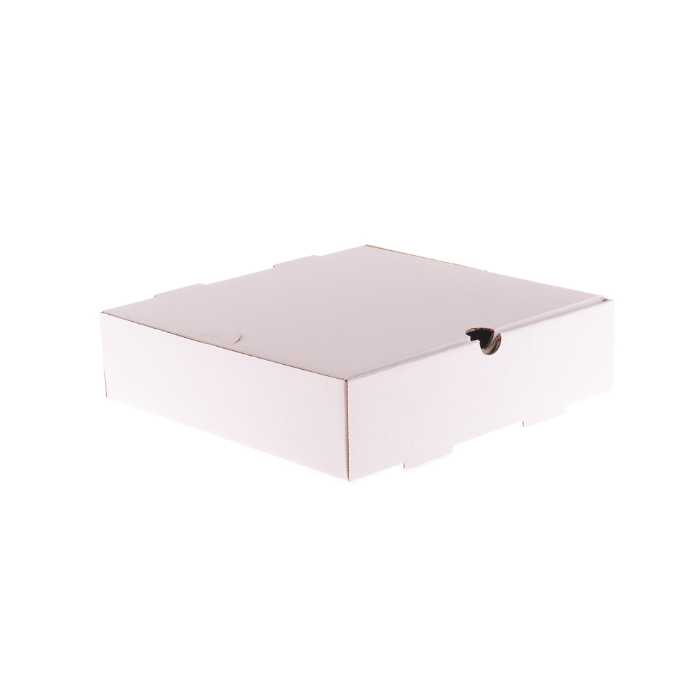 CAJA MICRO CARTON BLANCO/MARRON (23.5*23.5*6CM) (LOMO) *100UNID.