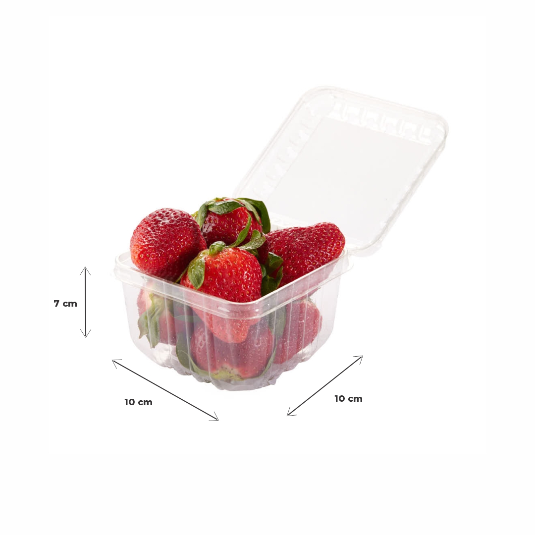 CUBETA FRUTIHORTICOLA CLAMSHELL 250GRS PET PERF. (M2971BX) (10*10*7CM) *100 UNID