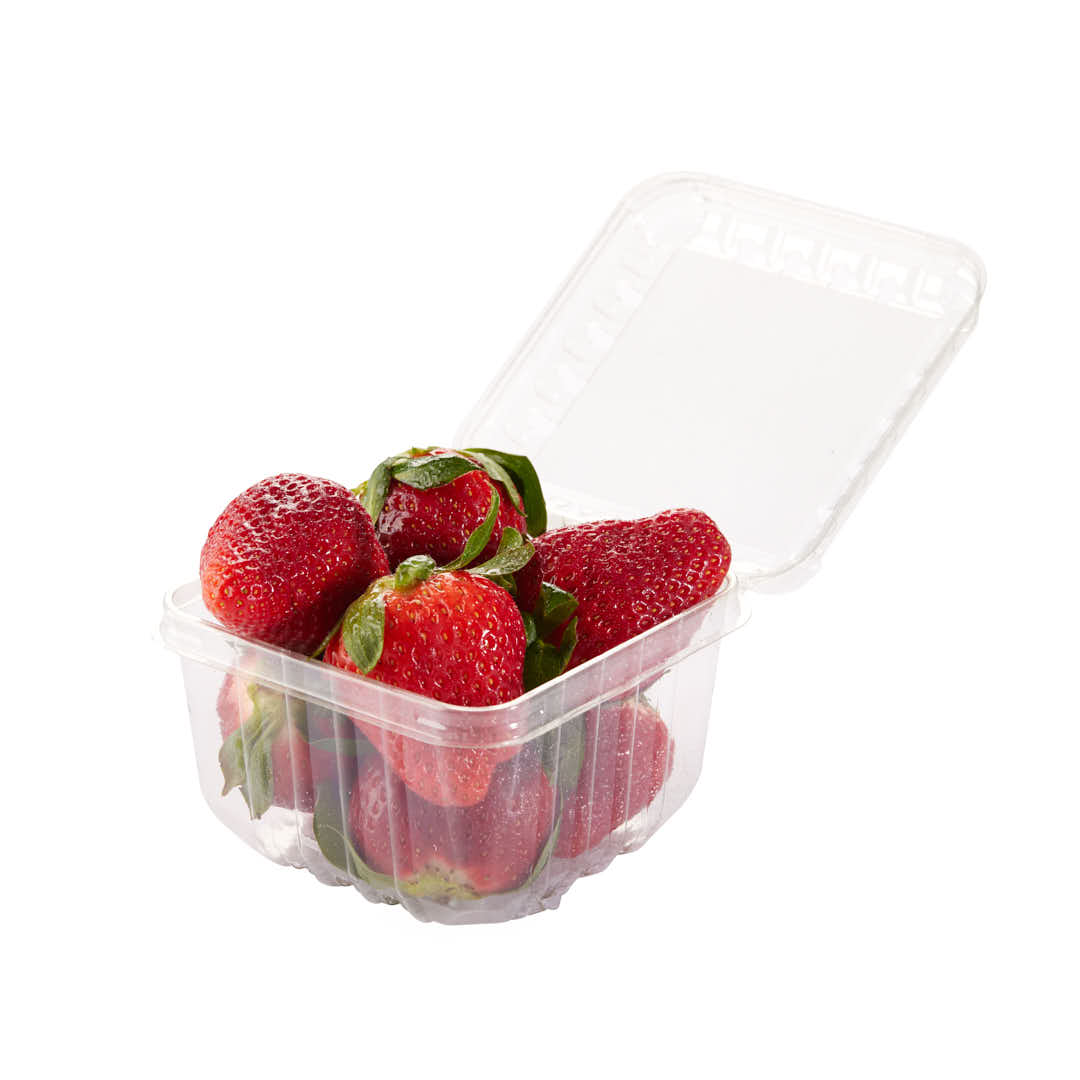 CUBETA FRUTIHORTICOLA CLAMSHELL 250GRS PET PERF. (M2971BX) (10*10*7CM) *100 UNID