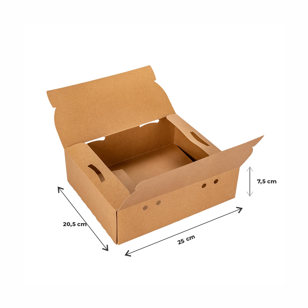 CAJA DELIVERY BIOHZ 2 COMBOS (25*20.5*7.5CM) *90UNID