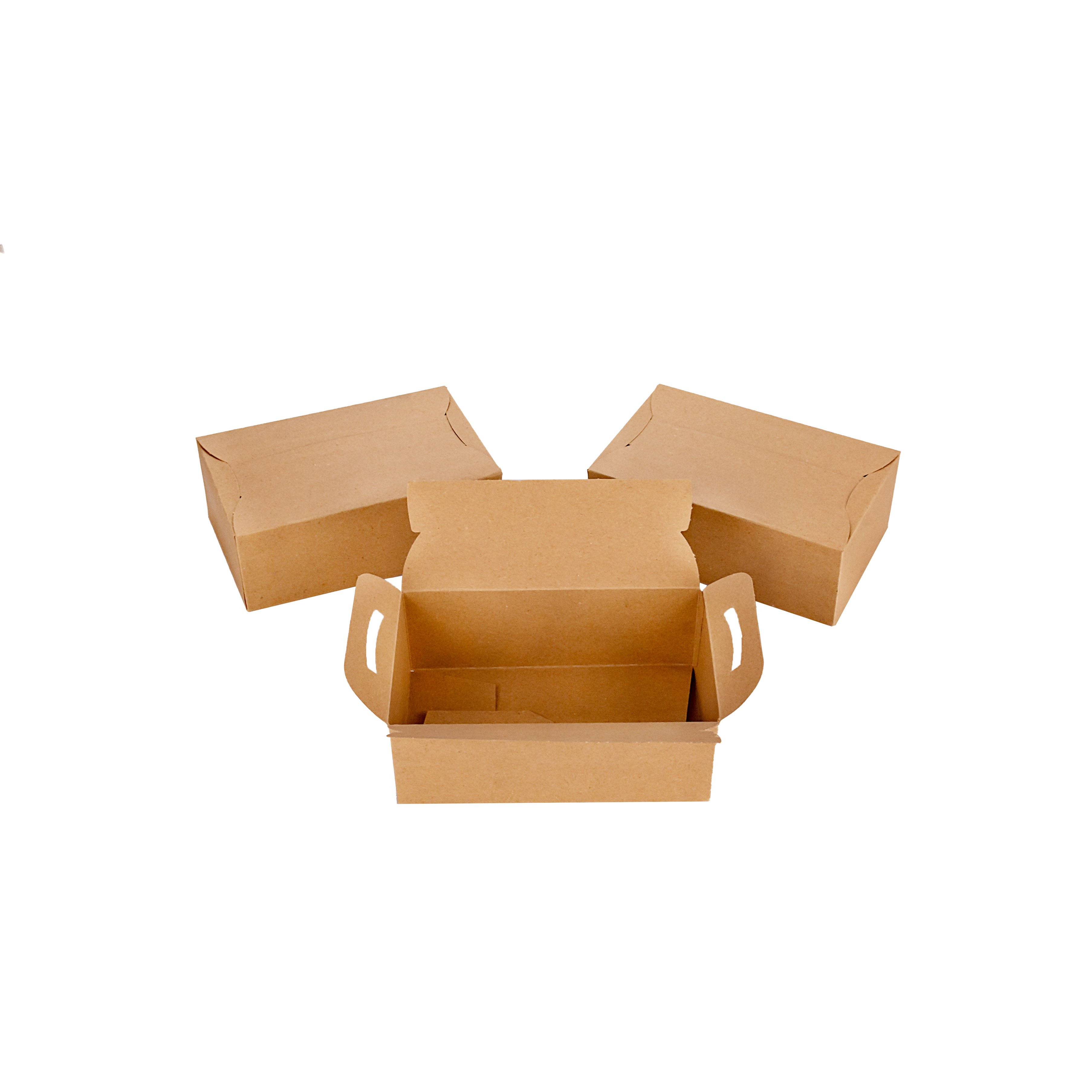 CAJA DELIVERY BIOHZ 1 COMBO (20.5*12.5*7.5CM) *300UNID