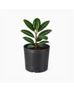 MACETA SOPLADA.23 LTS (30CM DIAM*38CM ALTO) *UNID