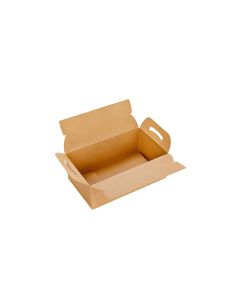 CAJA DELIVERY BIOHZ 1 COMBO (20.5*12.5*7.5CM) *300UNID