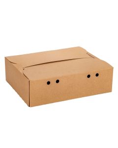 CAJA DELIVERY BIOHZ 2 COMBOS (25*20.5*7.5CM) *90UNID