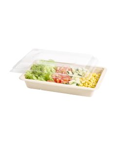 BANDEJA BAGAZO DE CAÑA BANDEX RECT.105 BEIGE 1200CC (17*25*4CM) *100UNID